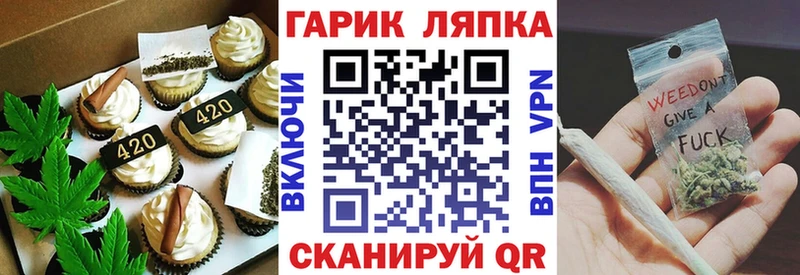 Купить  Новотитаровская  Canna-Cookies конопля