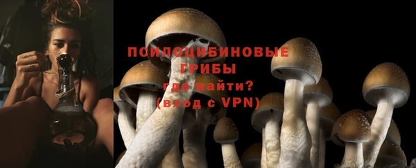 экстази Ельня
