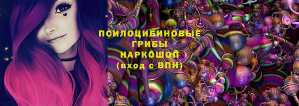экстази Ельня