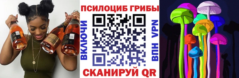 Купить закладки  Новотитаровская  Псилоцибиновые грибы мицелий 
